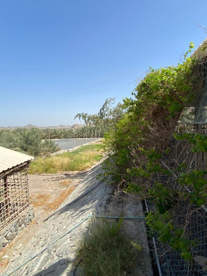 UAE farm Villa Qur Exteriör bild